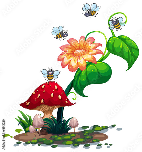 Bees roaming around the plant with a flower