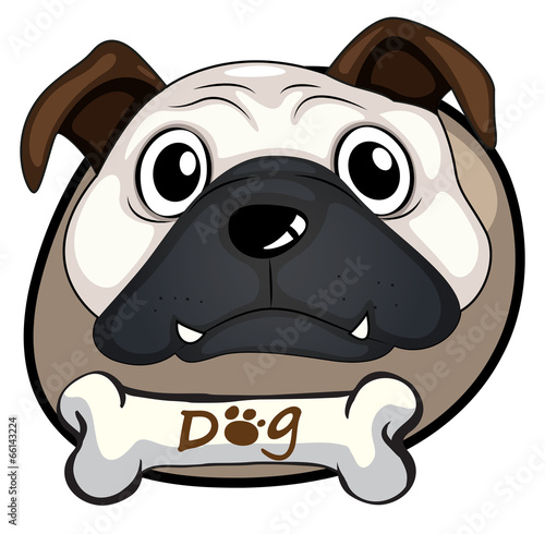 A head of a bulldog