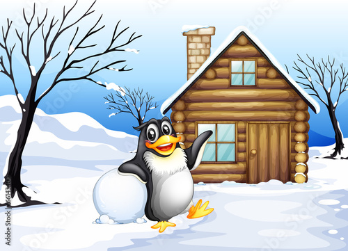 A penguin outside the house