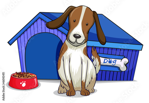 A dog outside the blue house