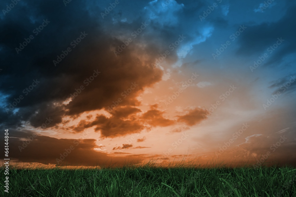 Green grass under blue and orange sky Green grass under blue and orange sky
