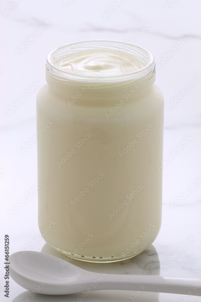 plain french style yogurt plain french style yogurt