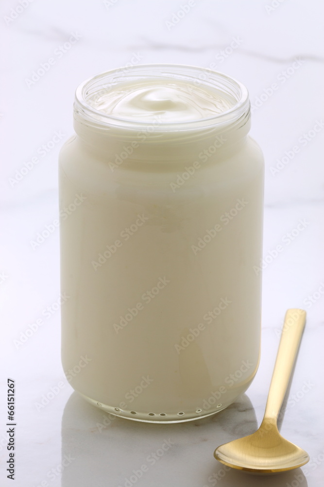 plain french style yogurt plain french style yogurt