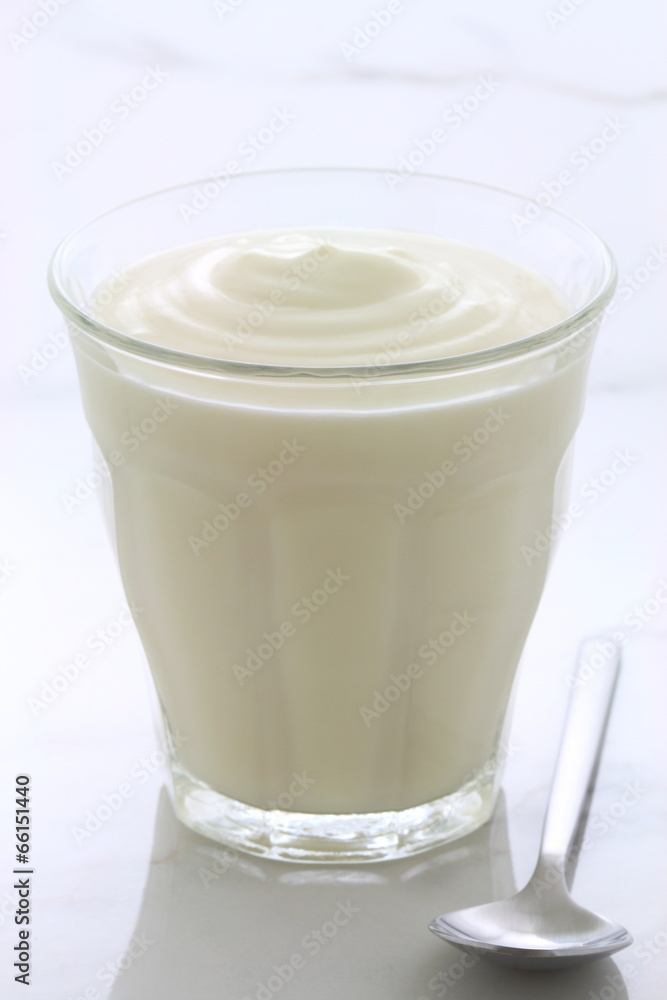 plain french style yogurt plain french style yogurt