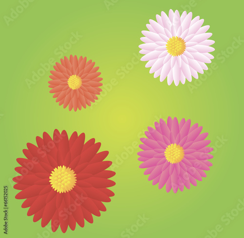 Seamless flower background