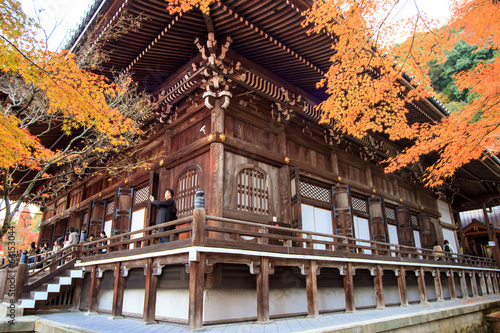 fall season with old temple photo