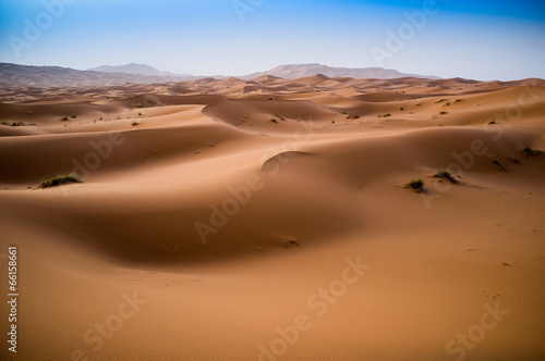 beautiful sand dunes in the Sahara near Merzouga  Erg Chebbi  Mo