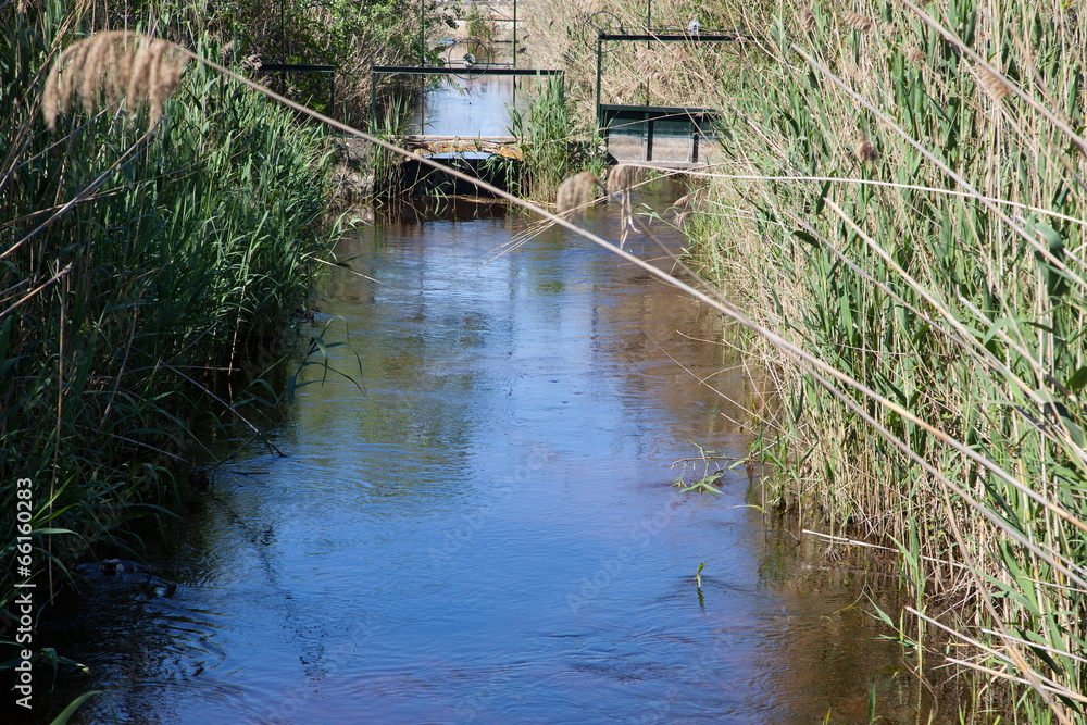 Naklejka premium Mallorca Naturschutzpark Albufera