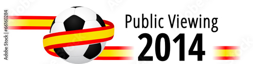 Public Viewing 2014