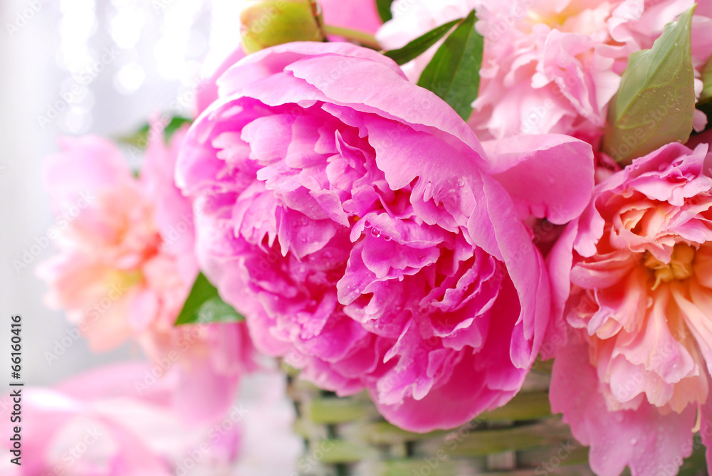 beautiful pink peony in wicker basket