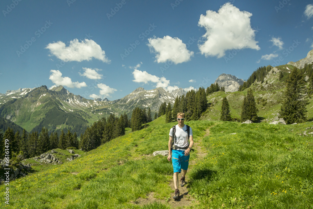Obraz premium Sommer in den Bergen