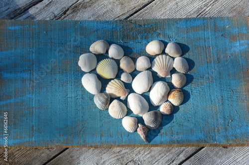 Muschelherz auf Holz
