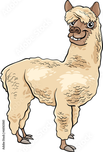 alpaca animal cartoon illustration