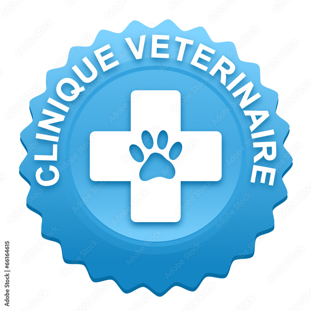 clinique vétérinaire sur bouton web denté bleu clinique vétérinaire sur bouton web denté bleu