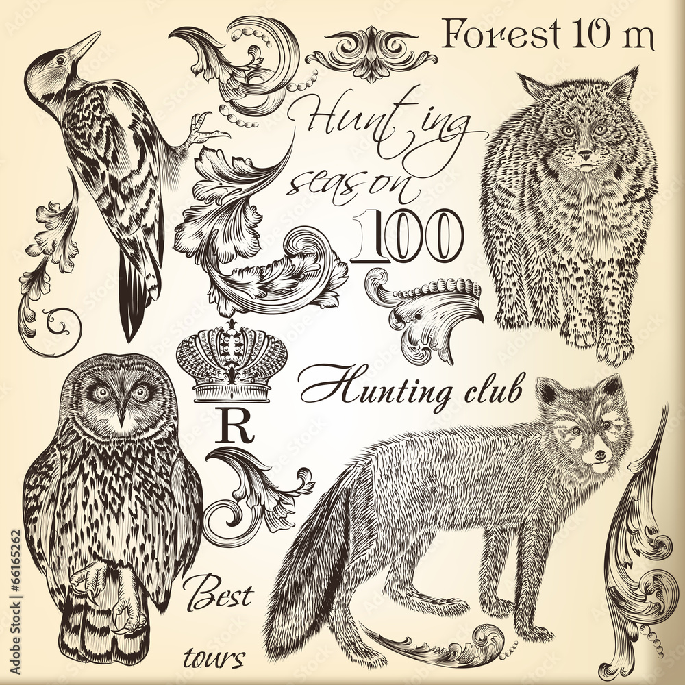 Fototapeta premium Set of vector hand drawn animals