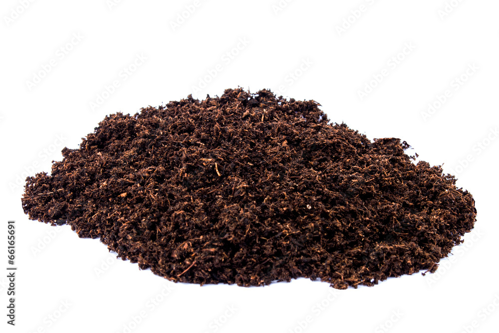 soil paet moss on isolated white background soil paet moss on isolated white background