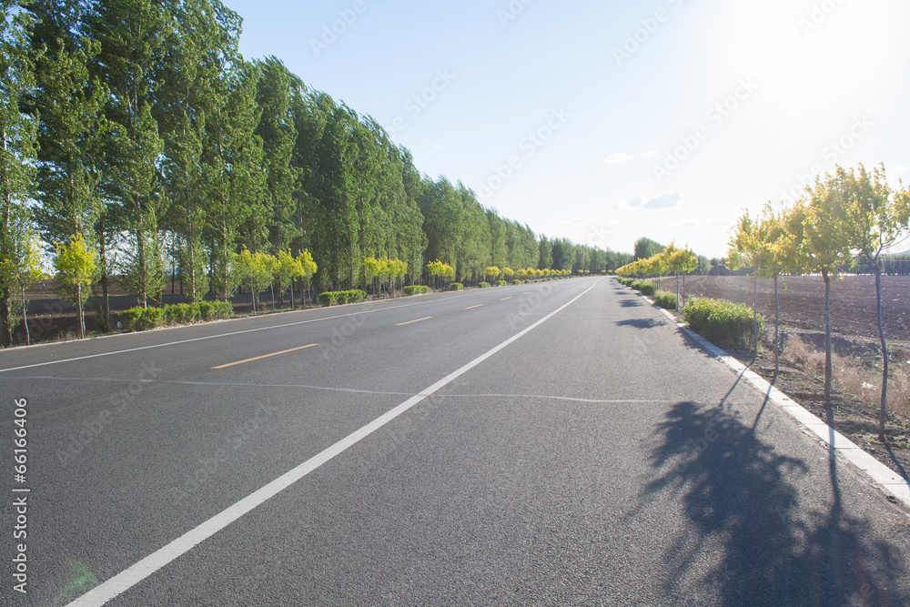 Fototapeta premium Road