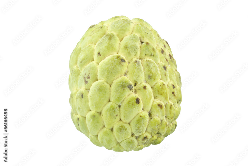 Fototapeta premium Custard apple sweet fruit as oval isolated
