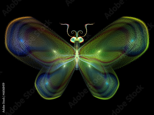 Lights of Butterfly © agsandrew
