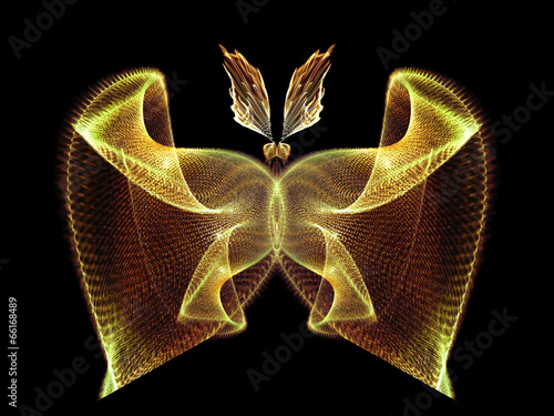 Obraz na plátně Petals of Butterfly