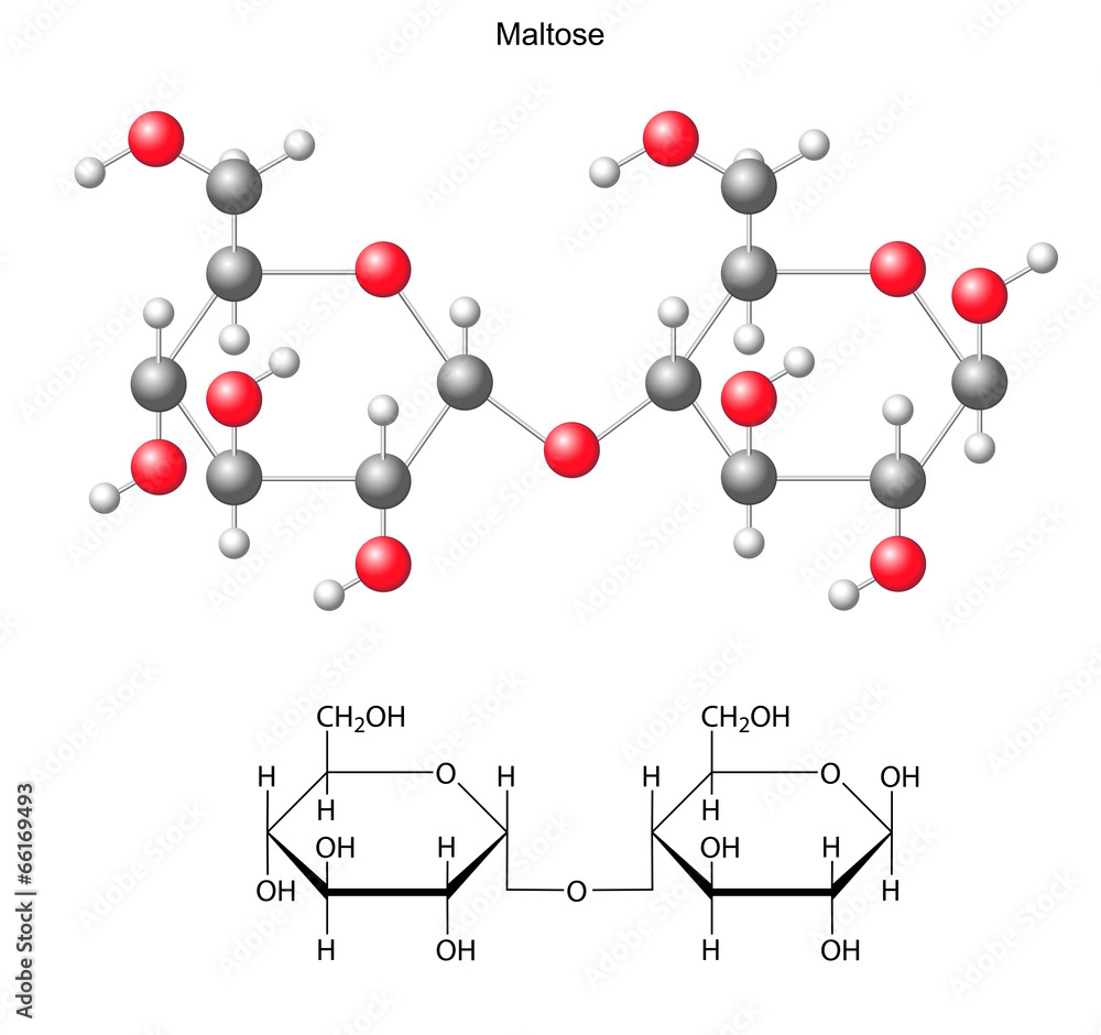 Structural chemical formula and model of maltose Structural chemical formula and model of maltose