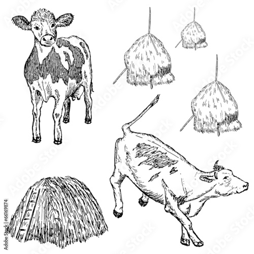 cow set