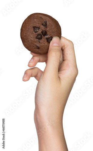 Hand holding cookie