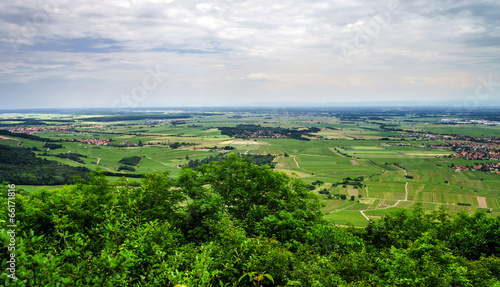 Alsace view from the top of hill