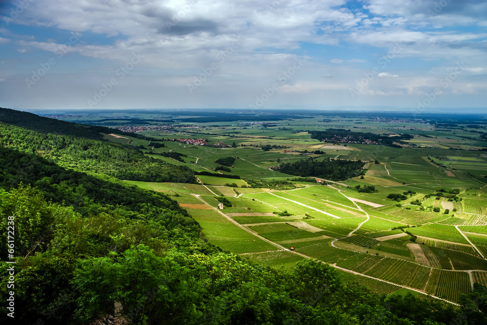 Fototapeta premium Alsace view from the top of hill