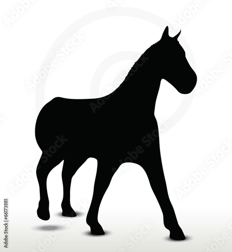 horse silhouette in walking position