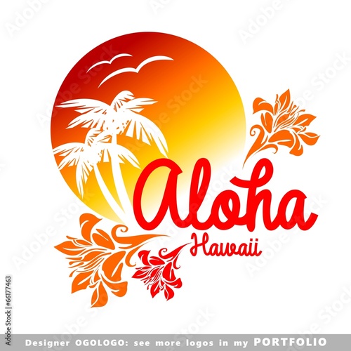 aloha, hawaii, leaves, hibiscus, floral, illustrations