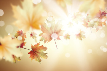 Autumn background