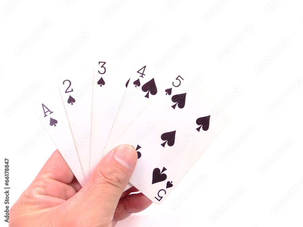 Obraz premium 駆け引き