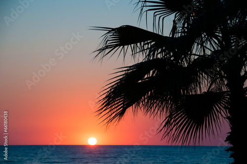 Sunset beach, evening sea, palm trees
