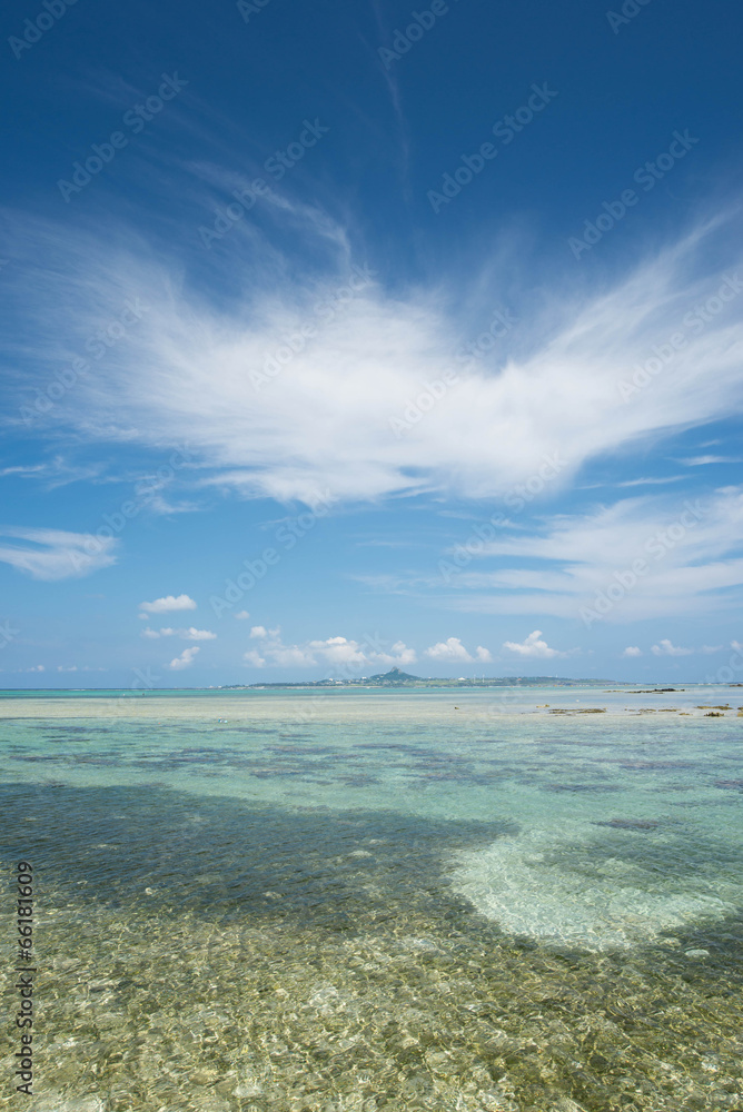 Fototapeta premium 沖縄の海 備瀬海岸