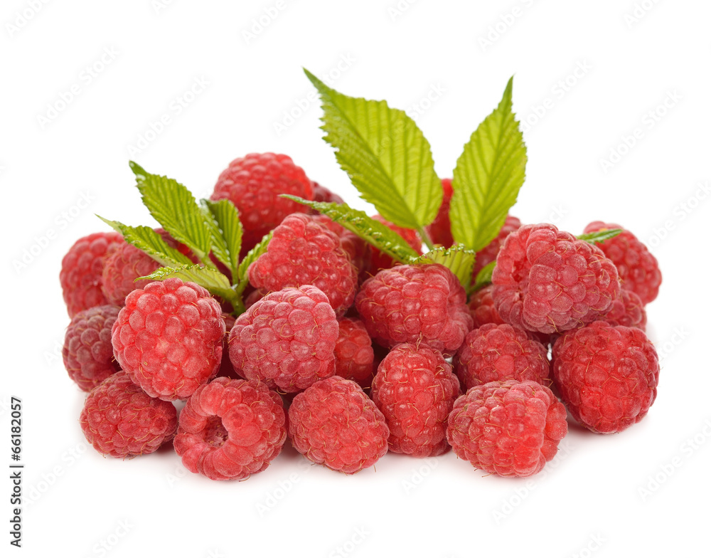 fresh raspberries fresh raspberries