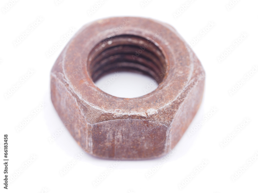 nuts on a white background nuts on a white background