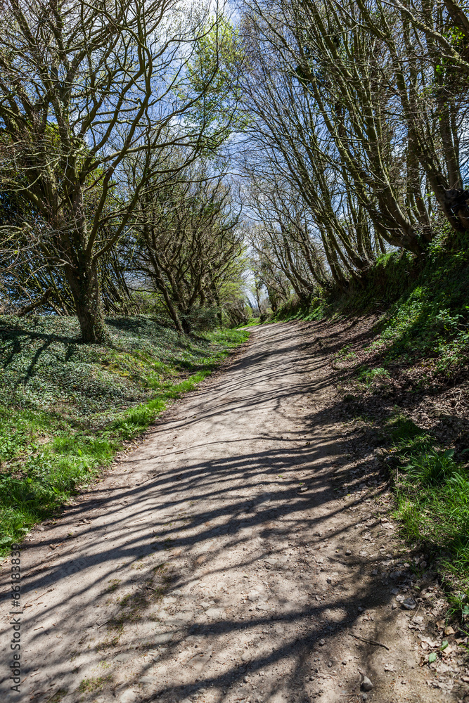 Chemin de randonnée Chemin de randonnée