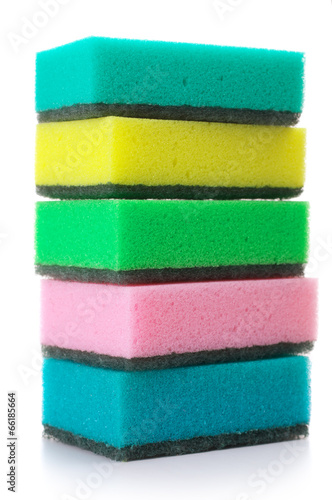 Colorful sponges