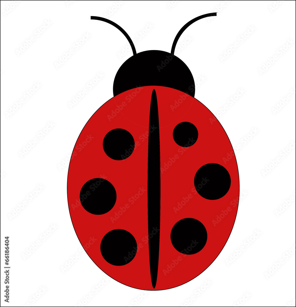 Ladybird . Ladybird .