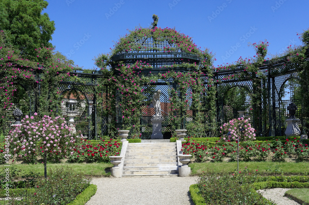 Fototapeta premium Roseraie 2