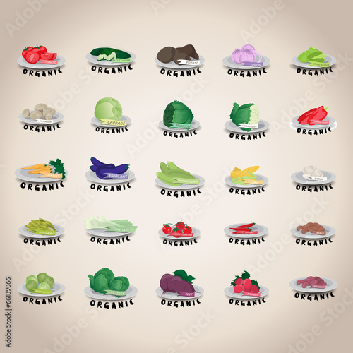Vegetables Icons Set - Isolated On Gray Background