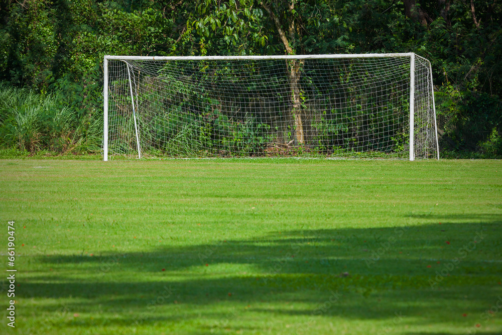 Fototapeta premium soccer field grass Goal at the stadium Soccer field