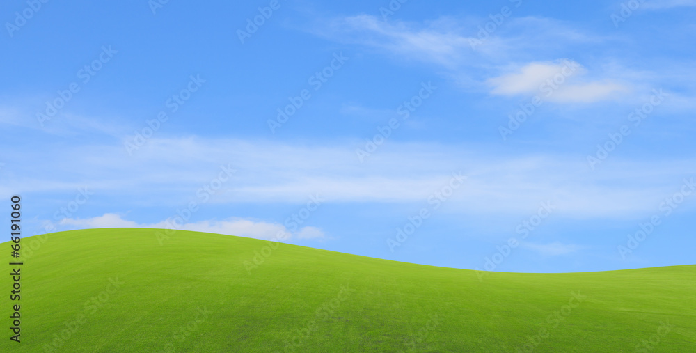 Fototapeta premium Green field with blue sky
