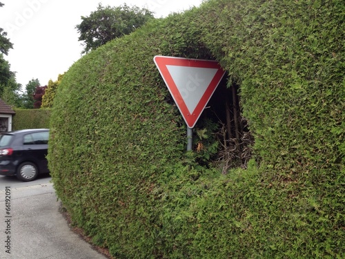 Vorfahrtsschild, eingewachsen in Hecke photo