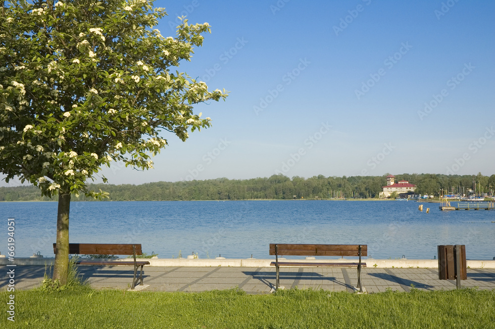 Benches on the lakeshore