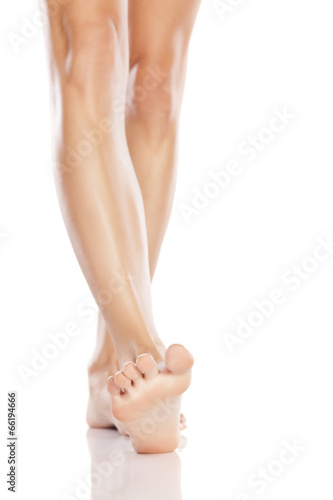 pretty female legs and bare feet on white background © vladimirfloyd