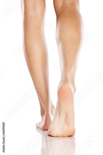 pretty female legs and bare feet on white background