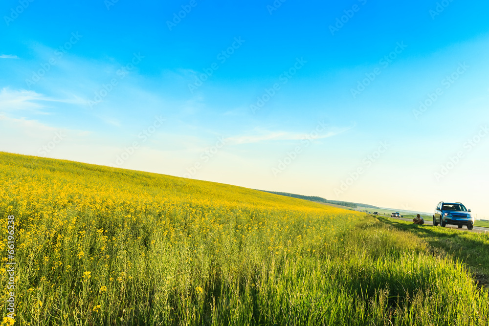 Highway and canola field on blue sky background