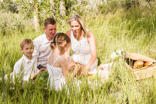 Quadro em tela Family picnic